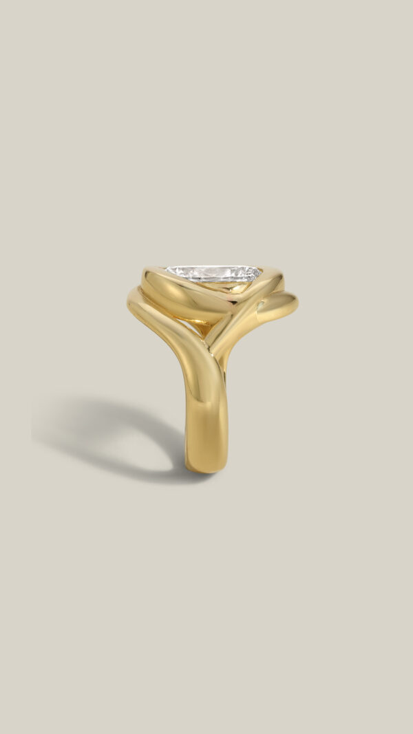 Intertwined Setting - Image 3
