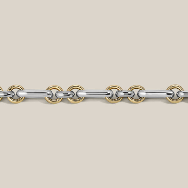 DUO Link Chain (two-tone) - Image 2