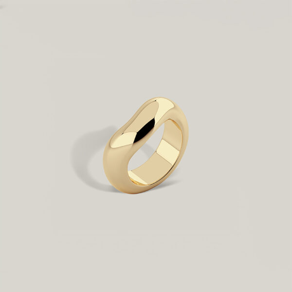 Rogue Band - Image 4